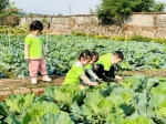 Hoa Trạng Nguyên: Rèn kỷ luật, nuôi dưỡng và vun bồi lòng yêu nước, niềm tự hào dân tộc cho bé